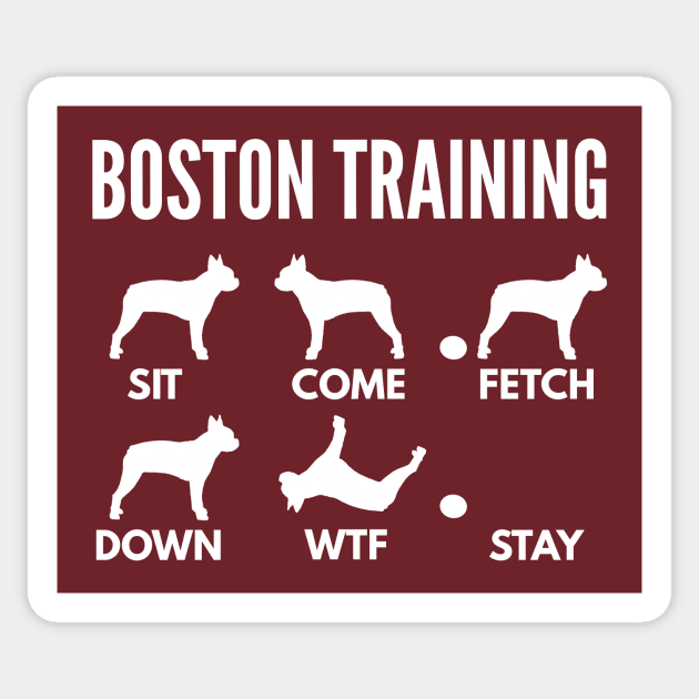 Boston Training Boston Terrier Tricks Sticker by DoggyStyles